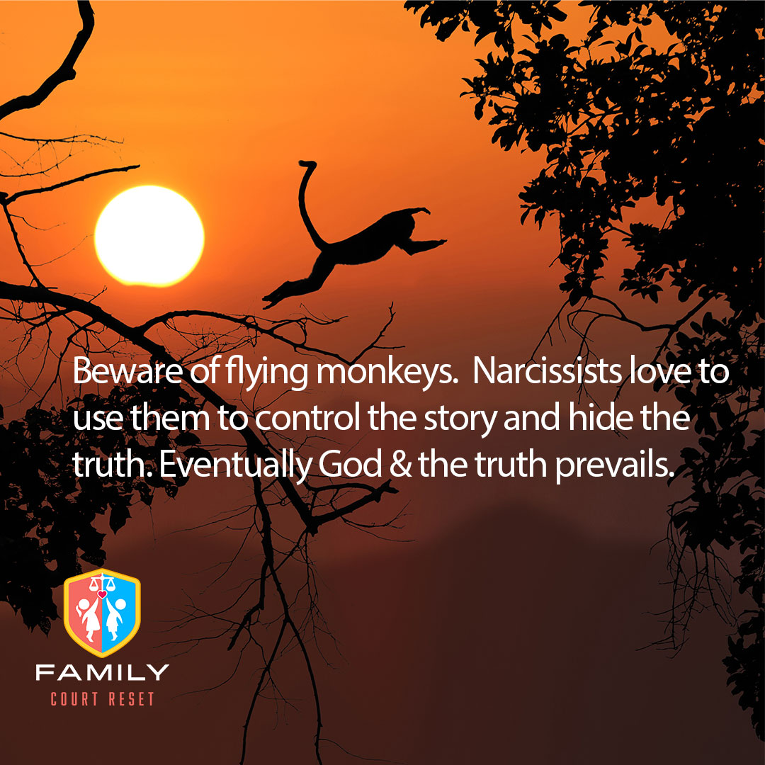 Flying Monkey Narcissist meme